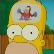 Why is Homer's intelligence not always there ?