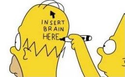 Homer Simpson's brain
