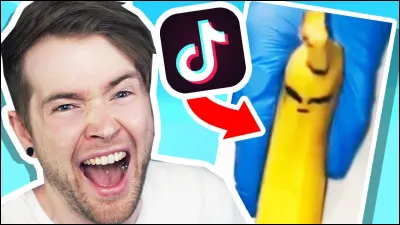 How many TikTok followers does Dan have?