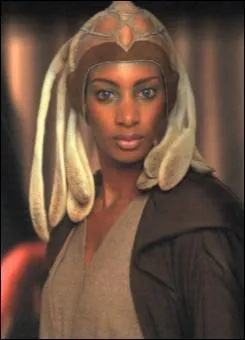 What vehicle was Adi Galia shot at?