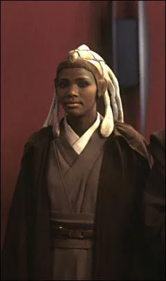 What is the relationship between Stass Allie and Adi Galia?