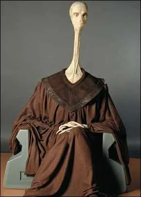 What was Yarael Poof a part of?