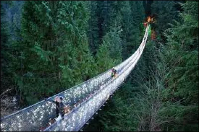 In Canada, you'll have the chance to cross the Capilano suspension bridge.