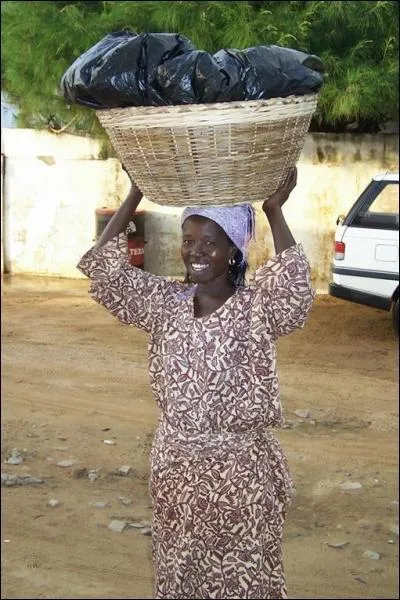 This lady calls at our house every morning.  What does she sell?