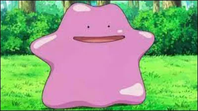 What's special about Metamorph?