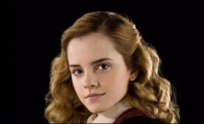 Which house is Hermione Granger sent to?