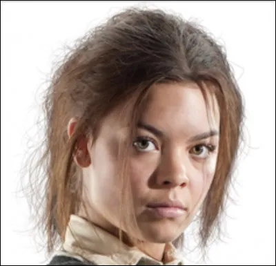 Which house did Pansy Parkinson go to?