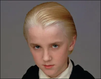 Which house is Draco Malfoy being sent to?