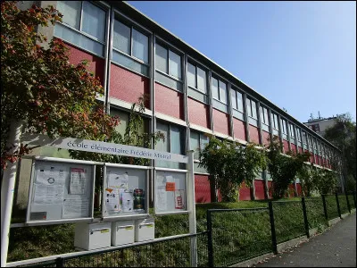 What do they do at school?