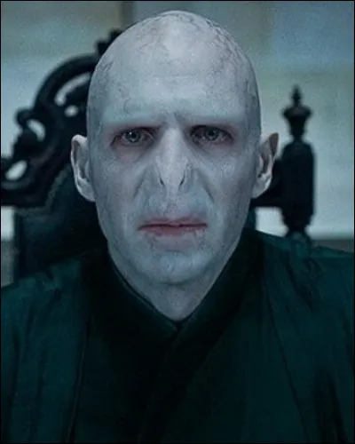 Who is really Voldemort?