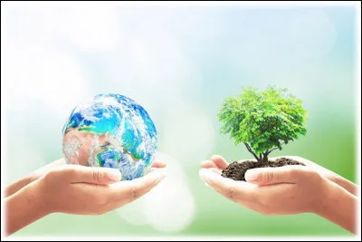 Яке сміття найбільше забруднює нашу Землю