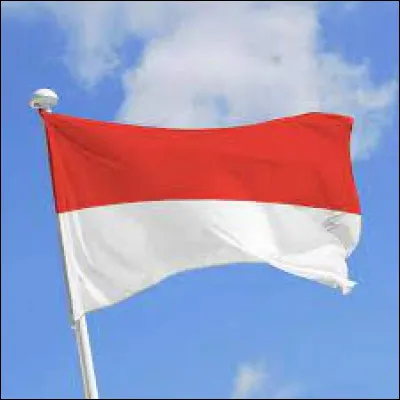 Look at this flag and tell me its country!