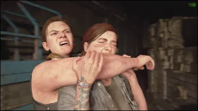 Ellie kills Abby at the end of the game