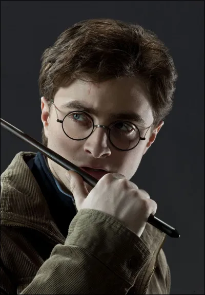 Voldemort t'ordonne de trouver Harry Potter, puis de l'amener à lui.