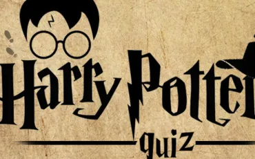 Quiz Diary, blog