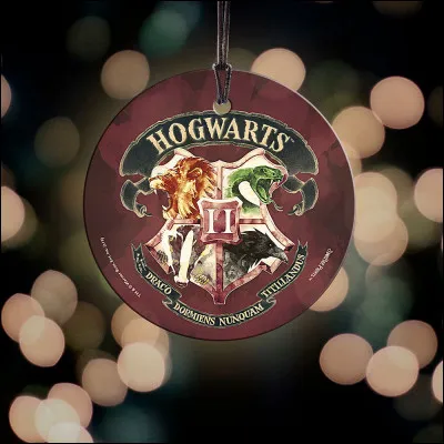 Que signifie la célèbre devise de Poudlard : "Draco Dormiens Nunquam Titillandus" ?