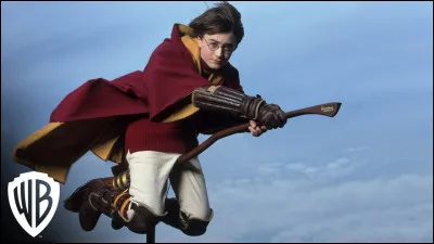 Quel poste de Quidditch est attribué a Harry ?