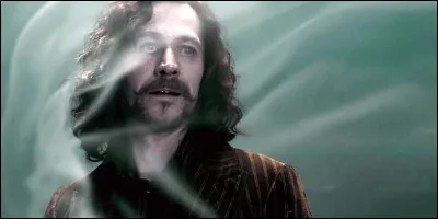 Qui tua Sirius Black ?