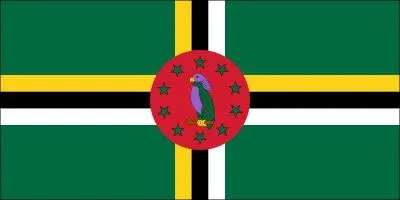 Which country does this flag belong to?