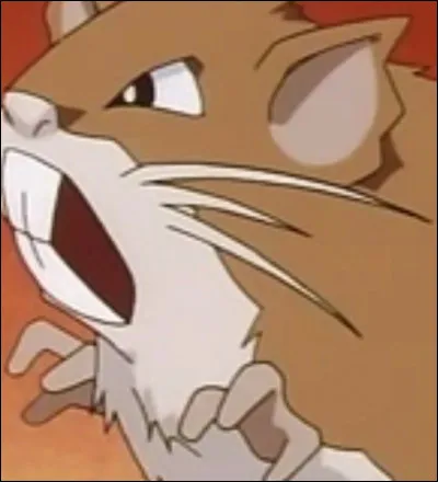 Where does it come from?