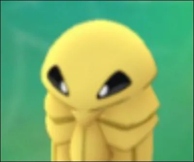 Its name is coconfort, but where does it come from?