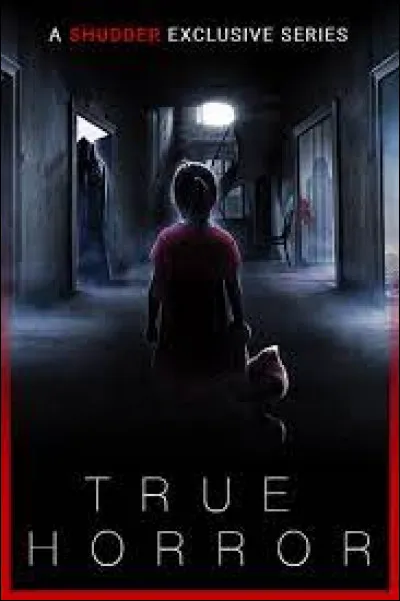 What country is the "True Horro" series from ?