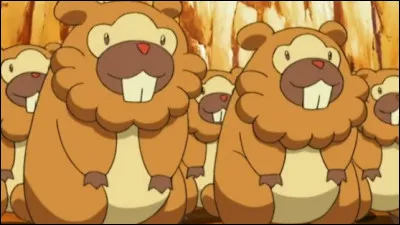 And what is this Pokemon Castor that nobody puts in his team?