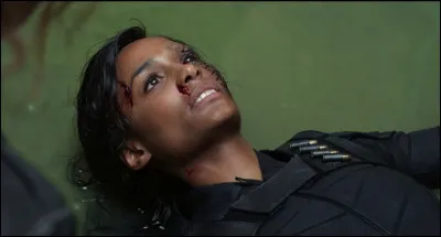 This widow dies trying to catch Black Widow and her sister. She is named...