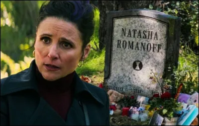 The countess will order Black Widow's sister to kill the man responsible for her death. What's his name?