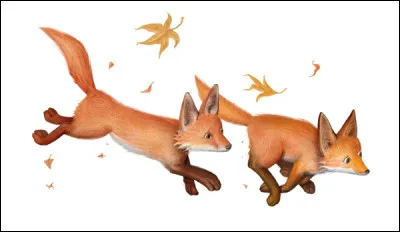 What was the name of the fox in the Middle Ages?