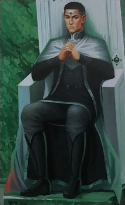 Who is this Councillor?