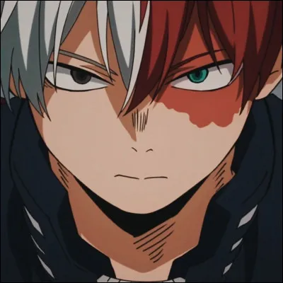 Does Shoto Todoroki have two Alters?