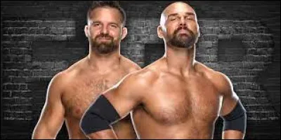 What is the name of this team of wrestlers ?