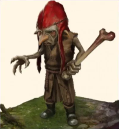 D.F.C.M :
What is the name of this creature?