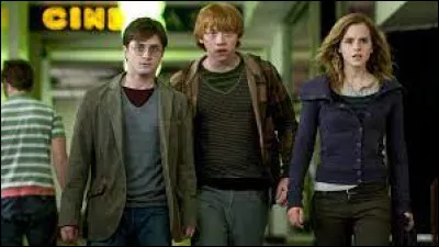 Why does she decide to give up her final year at Hogwarts?