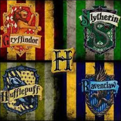 Which Hogwarts house will she join?