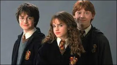 Where does she first meet Harry and Ron?