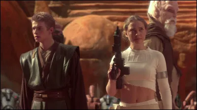 What do Anakin and Padme do at the end of the film?