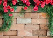 Quiz Si on faisait le mur, en culture générale ?
