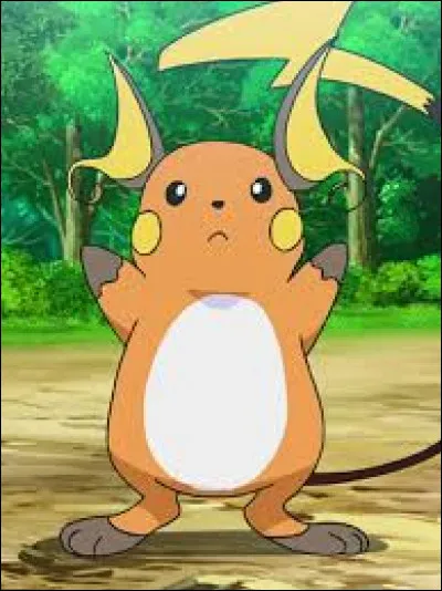 What is its evolution?