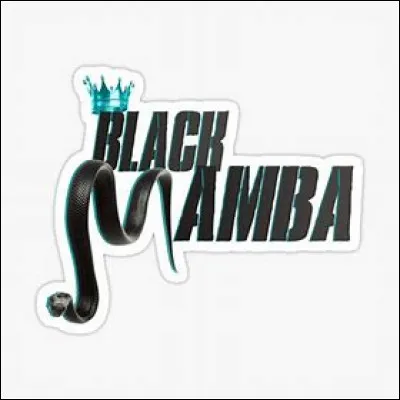 Who does this logo belong to (the image is the title of one of their songs)?