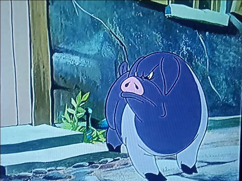What is the name of this character ?