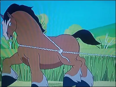 What is the name of this character ?