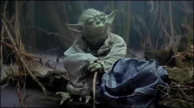 What does Yoda reproach Luke for?