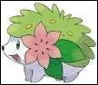 What is the name of this legendary Pokemon ?