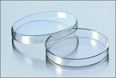 What is the name of this microbiology dish?