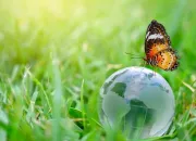 Quiz La biodiversité (2de)