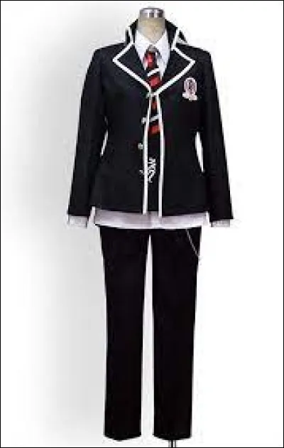 What anime is this outfit from?