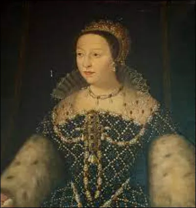 Who did Catherine de Medicis marry?