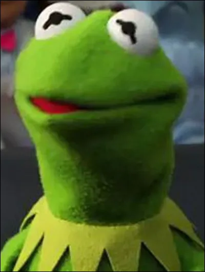 What is the name of this frog?